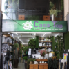 Casa Top