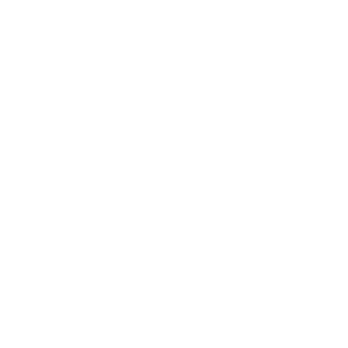 FIB